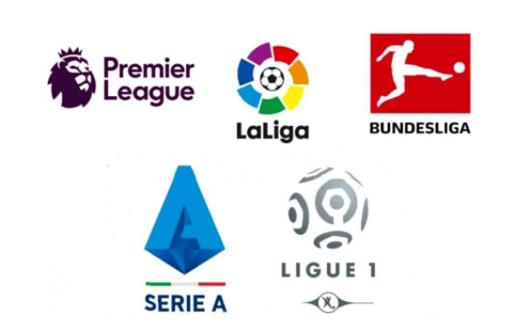 职业生涯简 职业生涯简